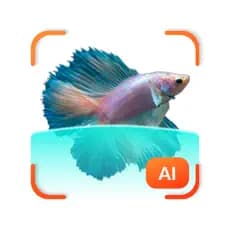 app's logo